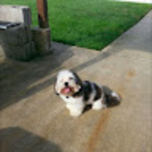 Meet your Posher, Kindell